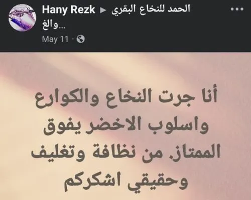 نخاع العظم البقري